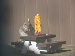 Squirrel Picnic Table Farmhouse Style